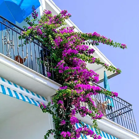 Jure Apartmán