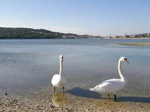 Jure Apartament