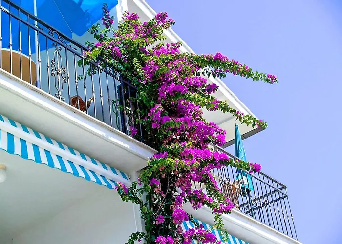 Jure Apartament